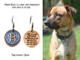 Dog Tag - Glittery Circle