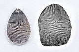 Fingerprint on a Silver Teardrop Shape Pendant